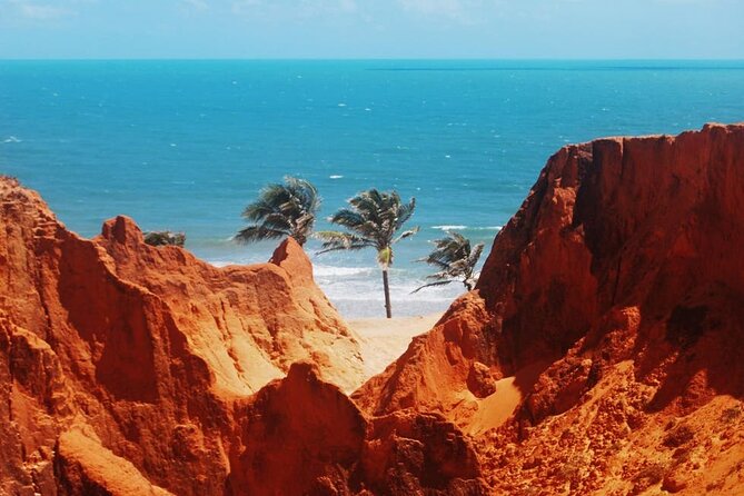 Tour 3 Beaches in 1 Day (Morro Branco, Praia Das Fontes, and Canoa Quebrada) - Inclusions