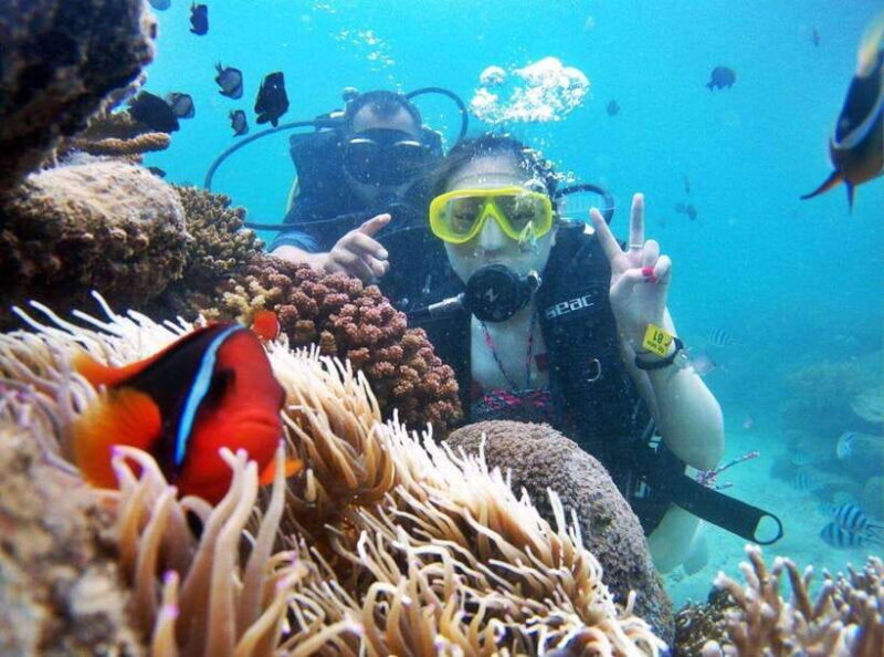 Tour 3 Islands of Nha Trang VIP - Inclusions and Amenities