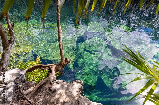 Tour 4 Cenotes Casa Tortuga Tulum. Food + Zipline. Includes Pickup. - Health and Accessibility