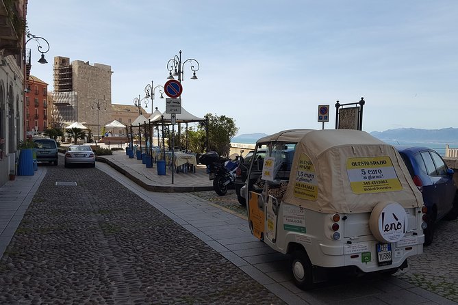 Tour 4 Historic Districts + Poetto Beach + Pink Flamingos + Bonaria Church - Accessibility and Requirements