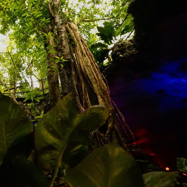 Tour 4 Premium Cenotes - Cancellation and Refund Policy