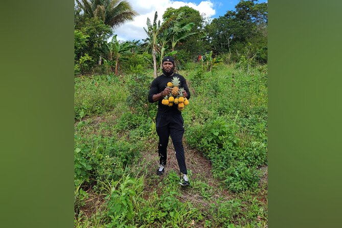 Tour a Jamaican Farm - Meeting and Pickup