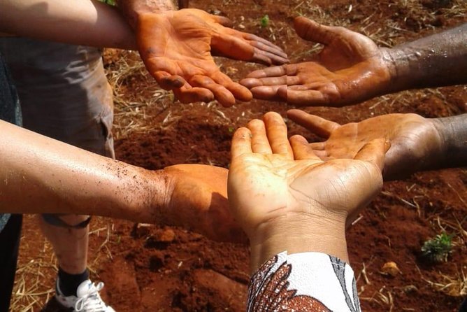 Tour a Jamaican Farm - Booking Your Stay