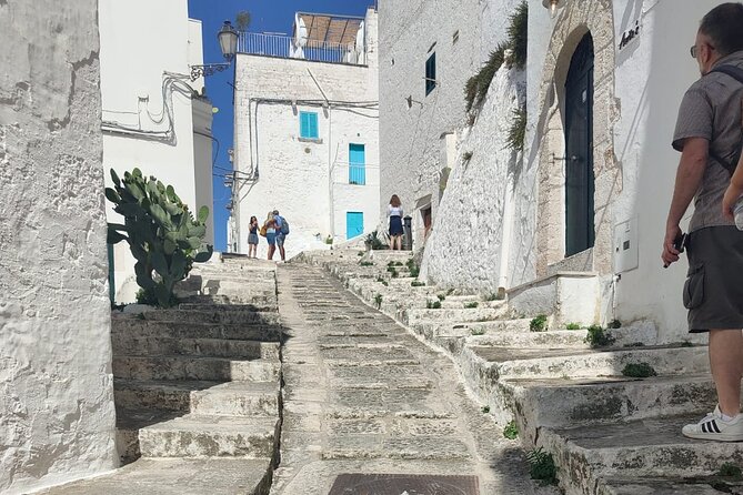 Tour: Alberobello, Locorotondo and Ostuni, Plus Rich Tasting - About the Tour Operator