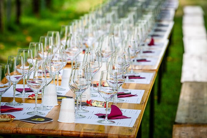 Tour and 3 Wines Tasting in the Prosecco Hills - Tour Schedule and Availability