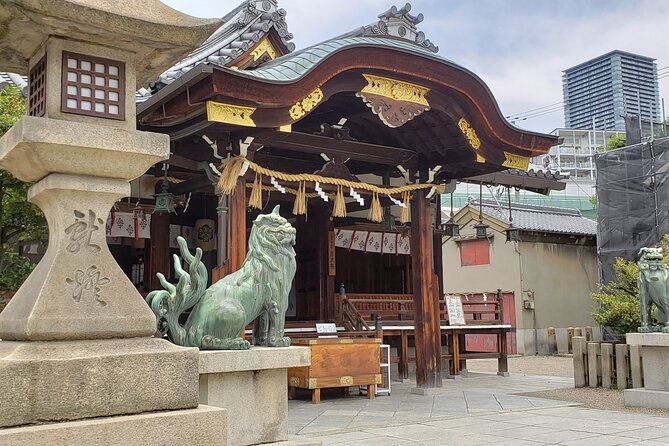 Tour and Food Tour in Osaka With Goverment Guide All Incluided - Accessibility Features