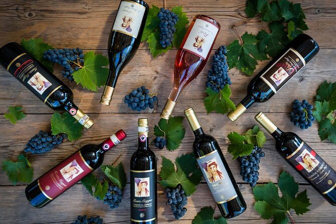 Tour and Tasting at an Organic Winery in the Heart of Chianti Classico Area - Bread and Olive Oil Pairings