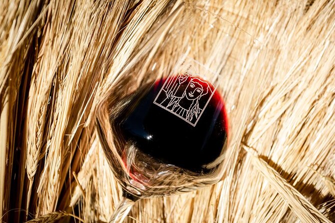 Tour and Tasting at an Organic Winery in the Heart of Chianti Classico Area - Meeting Point and Pickup Location