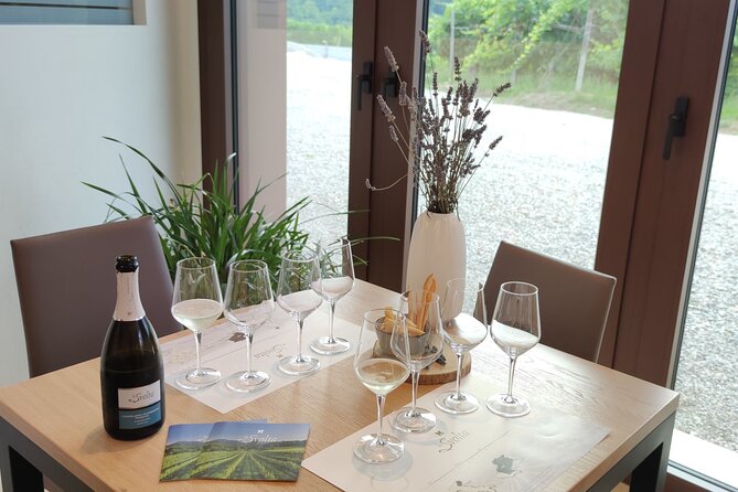 Tour and Tasting in the Hills of Prosecco Superiore DOCG - About Your Stay