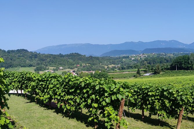 Tour and Tasting in the Hills of Prosecco Superiore DOCG - Savoring Local Culinary Delights