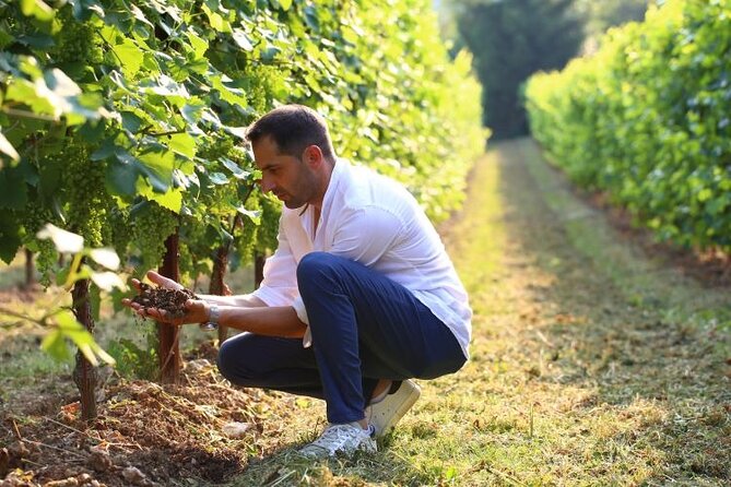 Tour and Tasting in the Hills of Prosecco Superiore DOCG - Transportation and Accessibility