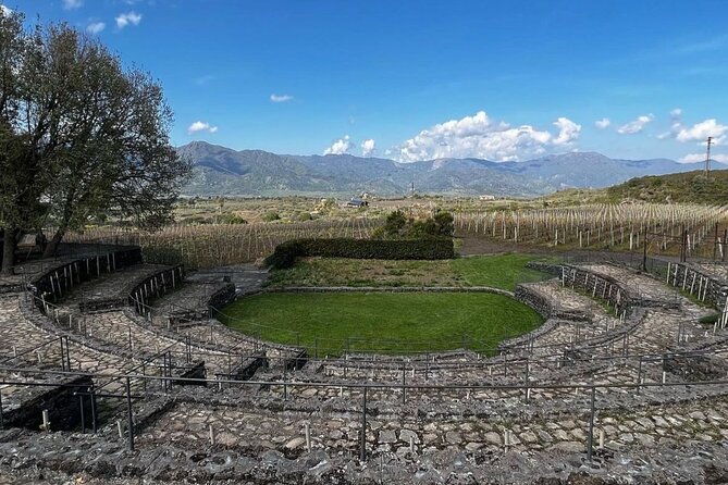 Tour and Wine Tasting at the Etna Cellars - Inclusions and Highlights