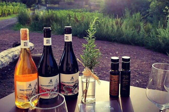 Tour and Wine Tasting at the Etna Cellars - Booking and Cancellation Policy