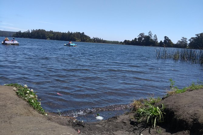 Tour Around Alessandri Park & San Pedro De La Paz - Exploring San Pedro De La Paz