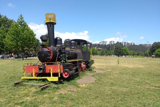 Tour Around Alessandri Park & San Pedro De La Paz - Verified Customer Reviews