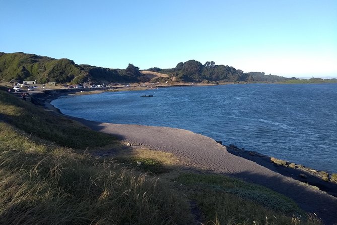 Tour Around Biobío River Estuary & Pedro Del Río Zañartu Museum - Key Points