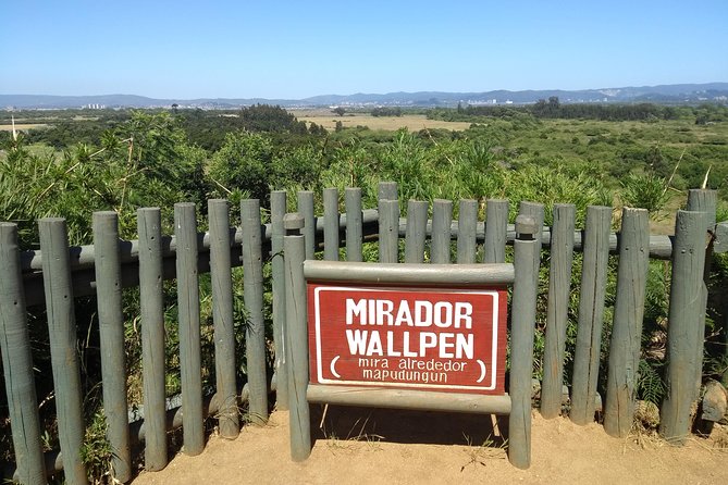 Tour Around Biobío River Estuary & Pedro Del Río Zañartu Museum - Exploring the Biobío River