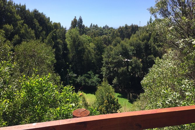 Tour Around Coronel & Lota - Accessibility and Participation Guidelines