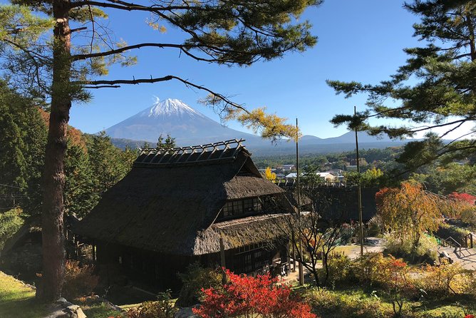 Tour Around Mount Fuji Group From 2 People €32,000 - Pricing