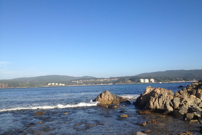 Tour Around the Coast Towns in Tomé & Dichato - Key Points