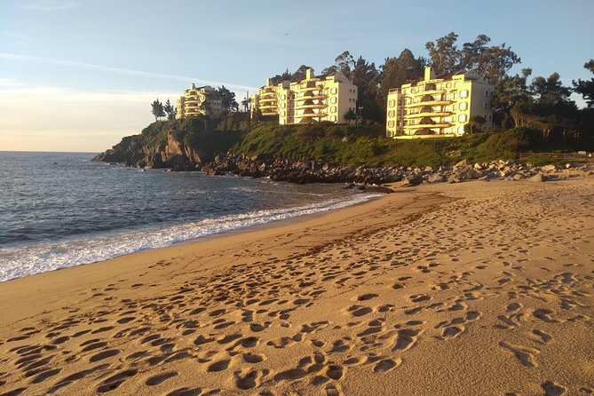 Tour Around the Coast Towns in Tomé & Dichato - Traveler Reviews