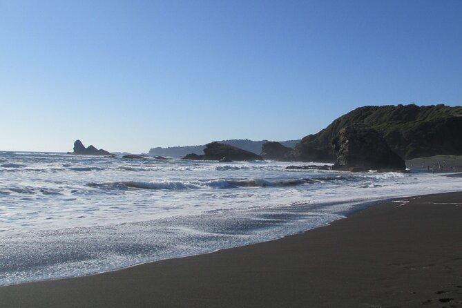 Tour Around the Shore of the Peninsula De Hualpén - Tour Cancellation and Payment Policies