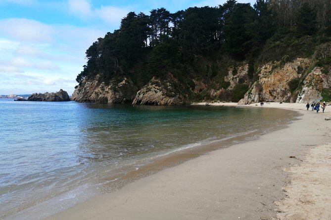 Tour Around the Shore of the Peninsula De Hualpén - Key Points