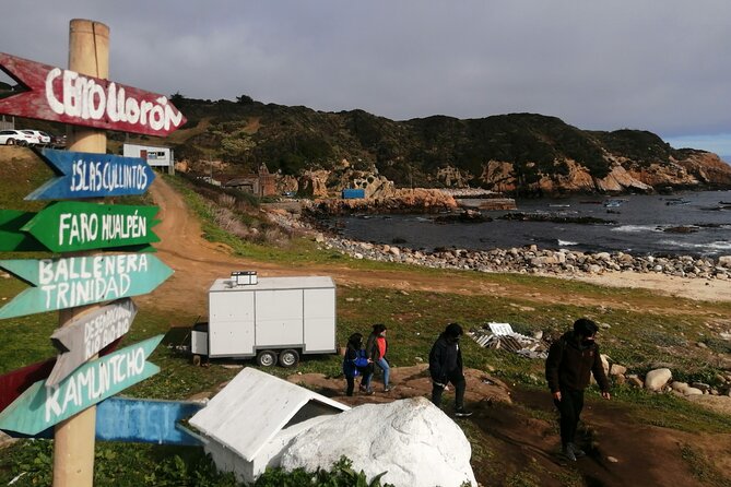 Tour Around the Shore of the Peninsula De Hualpén - Highlights of the Shore Tour