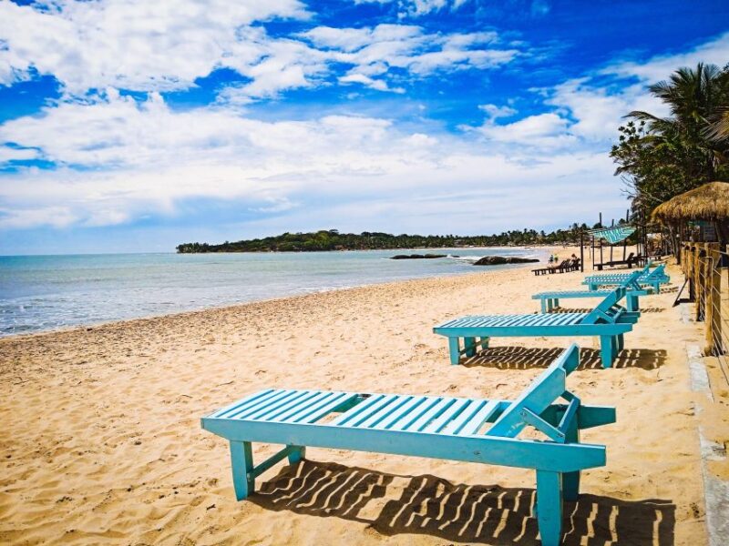 Tour Arrangement: Round Tours, Multi Day Tours in Sri Lanka - Key Points