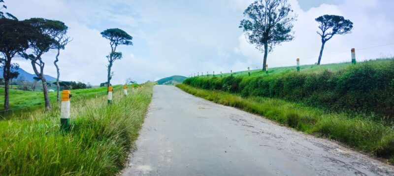 Tour Arrangement: Round Tours, Multi Day Tours in Sri Lanka - Customization and Personalization