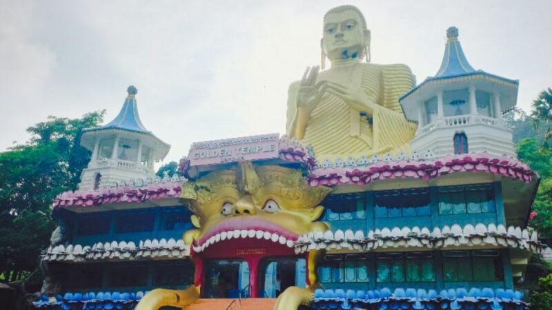 Tour Arrangement: Round Tours, Multi Day Tours in Sri Lanka - Experience and Comfort