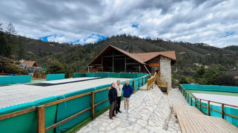 Tour Arteaga Expedition, With Guide, Transfer and Tickets - Itinerary Highlights