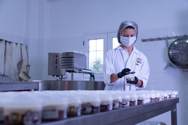 Tour at a Farm and Cheese Factory - Key Points