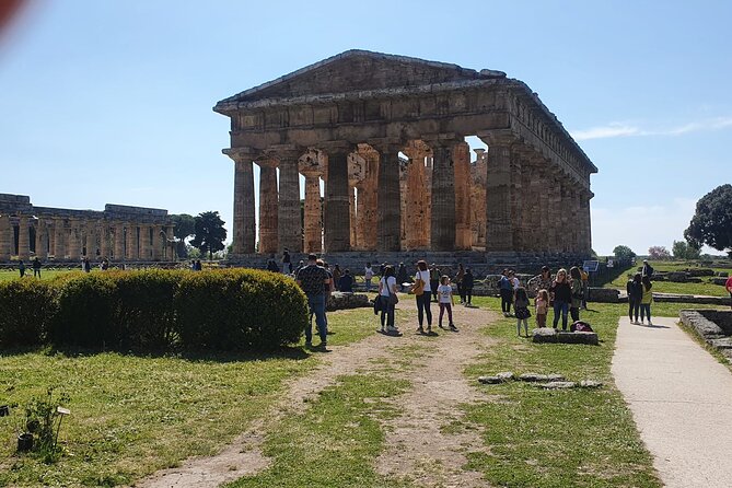 Tour at the Temples and the National Museum of Paestum - Schedule and Accessibility
