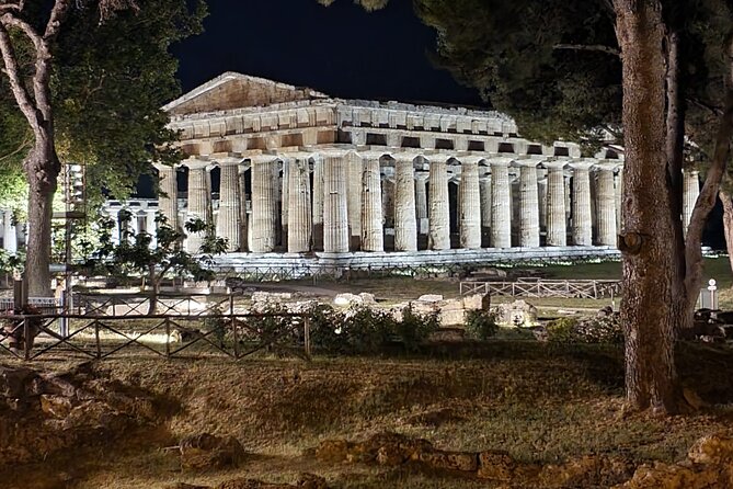 Tour at the Temples and the National Museum of Paestum - Booking Information