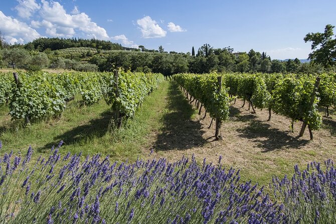 Tour at Villa La Ripa - Tuscan Delicacies