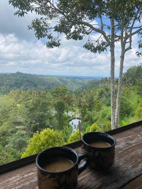 Tour Bali Swing Luwak Coffe Rice Terrace Nungnung Waterfalls - Important Information