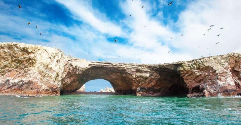 Tour: Ballestas Islands and the Paracas National Reserve - Inclusions