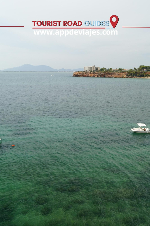 Tour: Bathing With Tuna in the Ebro Delta & Olivos Route - Snorkeling With Bluefin Tuna