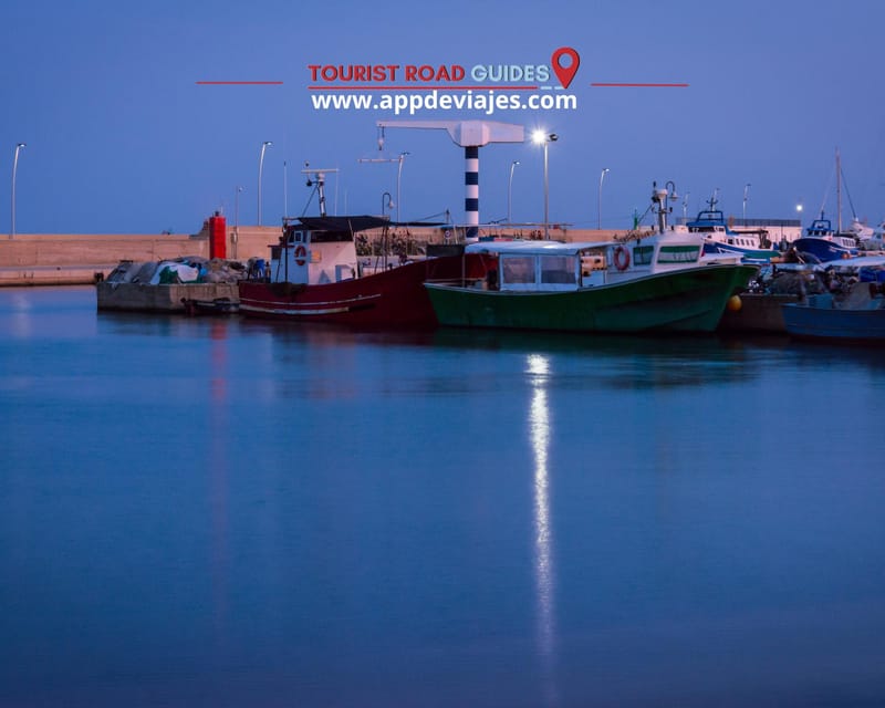 Tour: Bathing With Tuna in the Ebro Delta & Olivos Route - Informative Video on Tuna