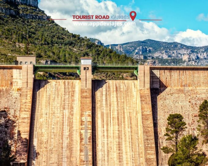 Tour: Bathing With Tuna in the Ebro Delta & Olivos Route - Visiting Ulldeconas Olive Trees