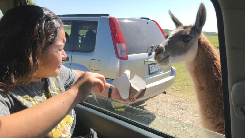 Tour Bioparque Estrella, With Transfer, Safari and Tickets - Key Points
