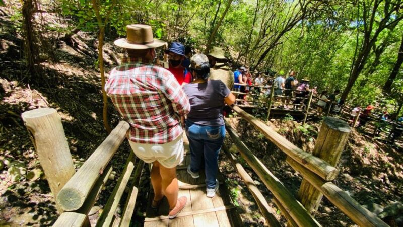 Tour Bioparque Estrella, With Transfer, Safari and Tickets - Participant Details