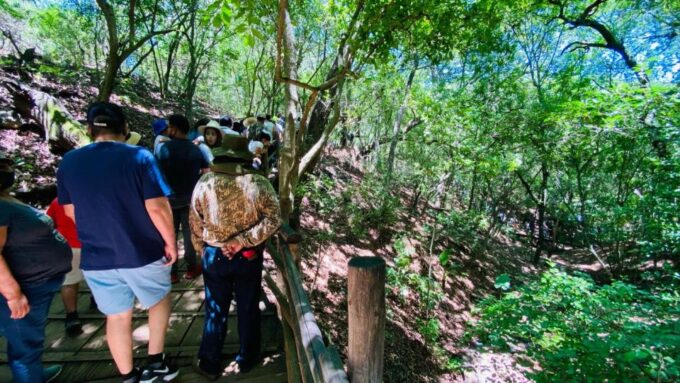 Tour Bioparque Estrella, With Transfer, Safari and Tickets - Customer Reviews