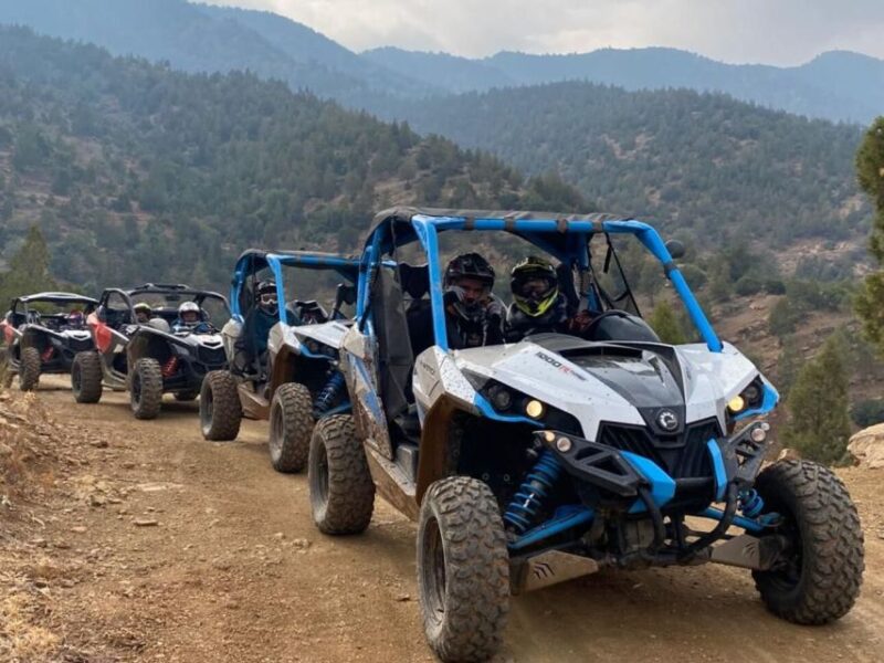 Tour: Buggy Adventure and Dinner Under the Stars in Agafay - Activity Details