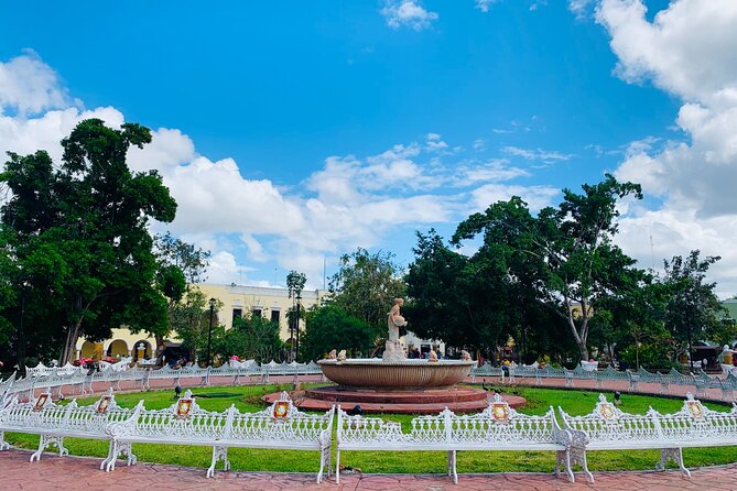 Tour Chichen Itzá Luxury Two Cenotes & Valladolid. - Customer Feedback