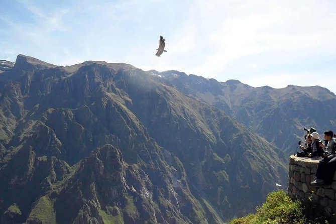 Tour Colca Canyon 2d -1n From Arequipa, Ending In Puno - Key Points