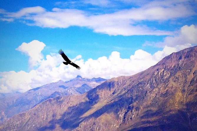 Tour Colca Canyon 2d -1n From Arequipa, Ending In Puno - Transportation Details