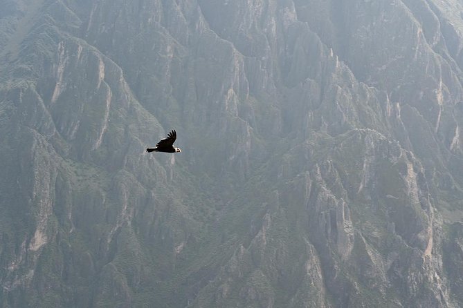 TOUR COLCA CANYON 2D - 1N (Shared Service) - Inclusions and Itinerary