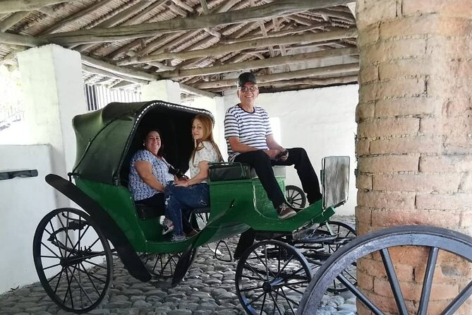 Tour De Haciendas With Lunch - Savoring Local Cuisine